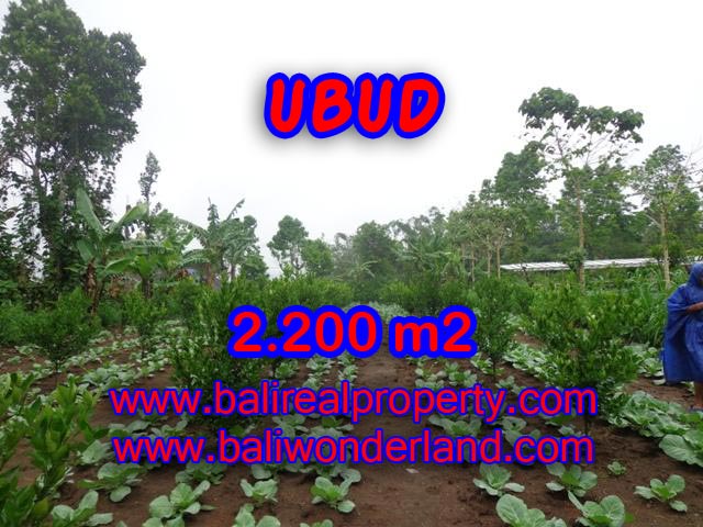 Jual tanah di Ubud