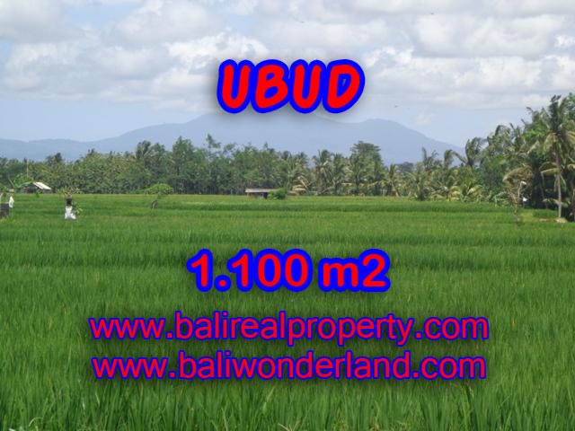 Jual tanah di Ubud