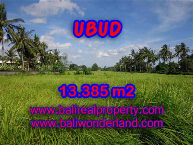 Tanah dijual di Ubud Bali