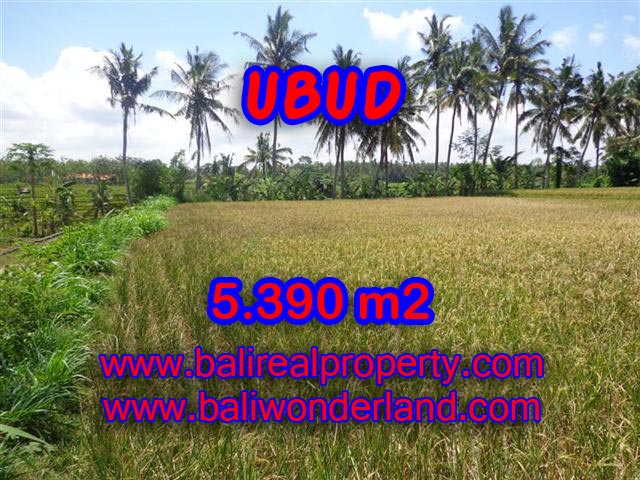 Tanah dijual di Ubud Bali