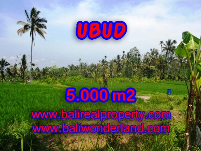 Tanah dijual di Ubud TJUB335 Kesempatan investasi Property di Bali