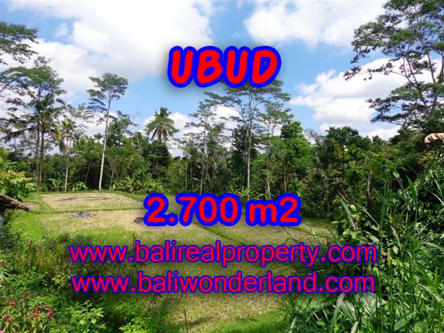 Tanah dijual di Ubud TJUB305 Kesempatan investasi Property di Bali