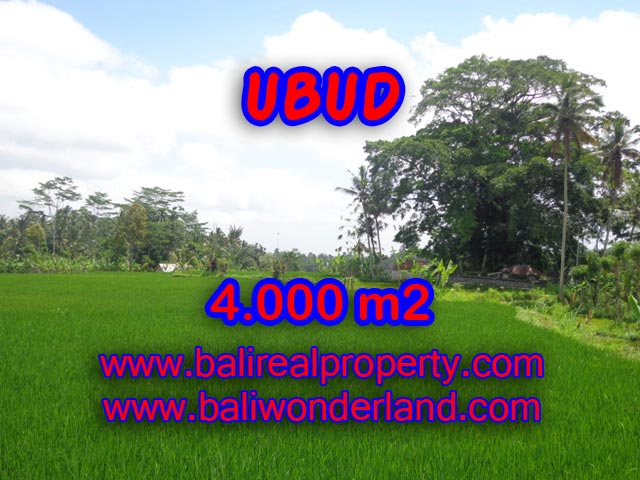 Tanah dijual di Ubud Bali view sawah dan gunung 40 Are di Ubud Tegalalang