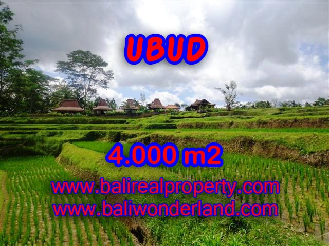 Tanah di Ubud dijual view sawah dan sungai di Dekat sentral Ubud