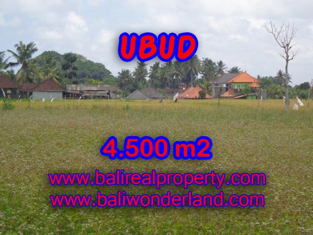 Tanah di Ubud dijual