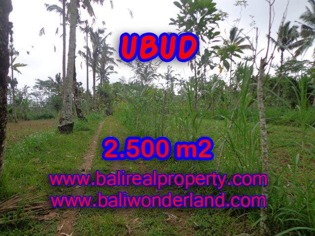 Tanah Ubud dijual
