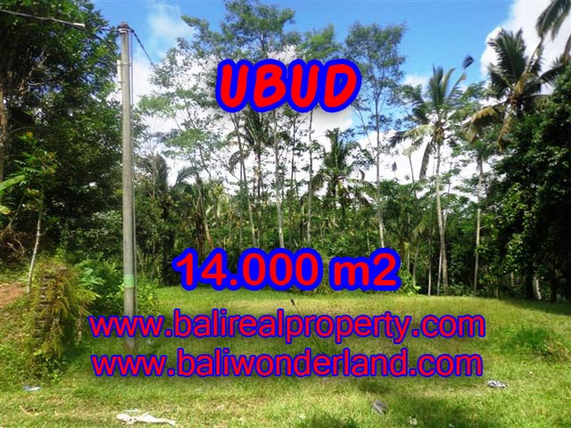 Tanah di Bali dijual murah 14.000 m2 di Ubud Payangan