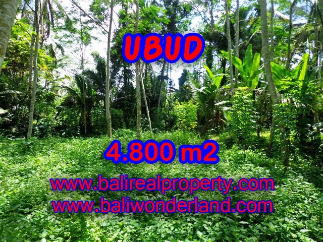 TANAH DIJUAL DI UBUD