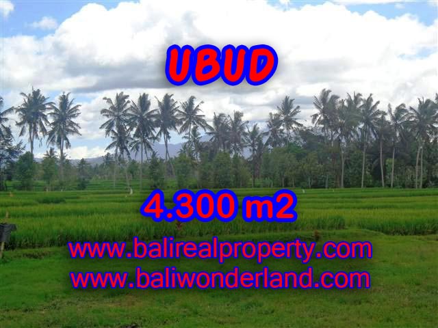 DI JUAL TANAH DI UBUD BALI TJUB370 - PELUANG INVESTASI PROPERTY DI BALI