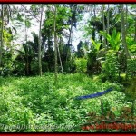 TJUB382 - Tanah dijual ( Land for sale ) di Ubud Bali 05