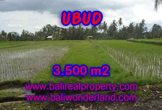 Tanah di UBUD Bali Dijual murah TJUB395 - investasi property di Bali