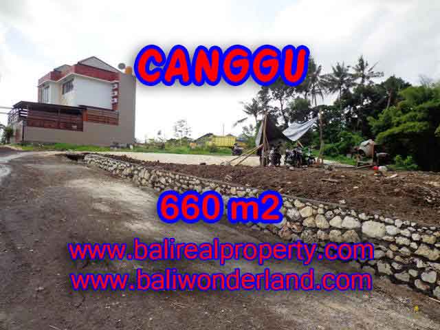 DIJUAL TANAH DI UBUD MURAH TJUB414 - INVESTASI PROPERTY DI BALI