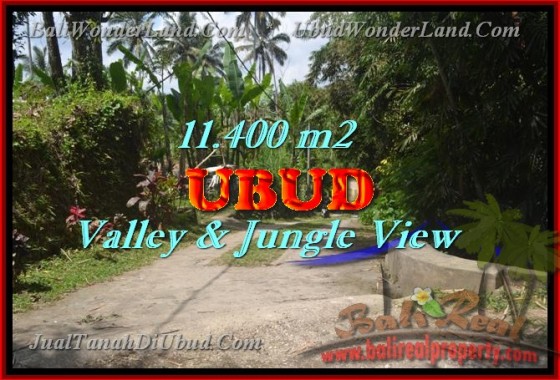 JUAL TANAH DI UBUD BALI MURAH RP 750.000 / M2 - TJUB431