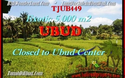 JUAL MURAH TANAH di UBUD BALI 5.000 m2 View sawah dan sungai link villa