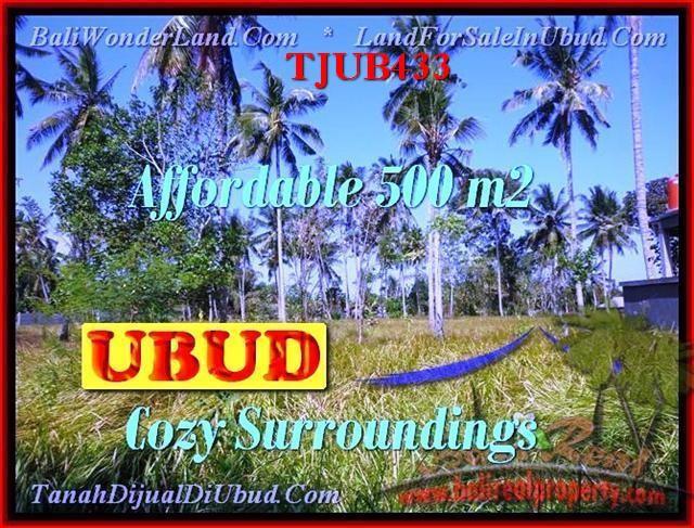 TJUB433-JUAL-TANAH-MURAH-DI-UBUD-UNTUK-INVESTASI-PROPERTI-DI-BALI