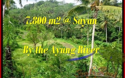 TANAH MURAH di UBUD DIJUAL Untuk INVESTASI TJUB472