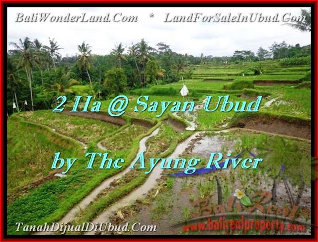 TANAH di UBUD BALI DIJUAL 20,000 m2 View tebing,sawah,sungai ayung