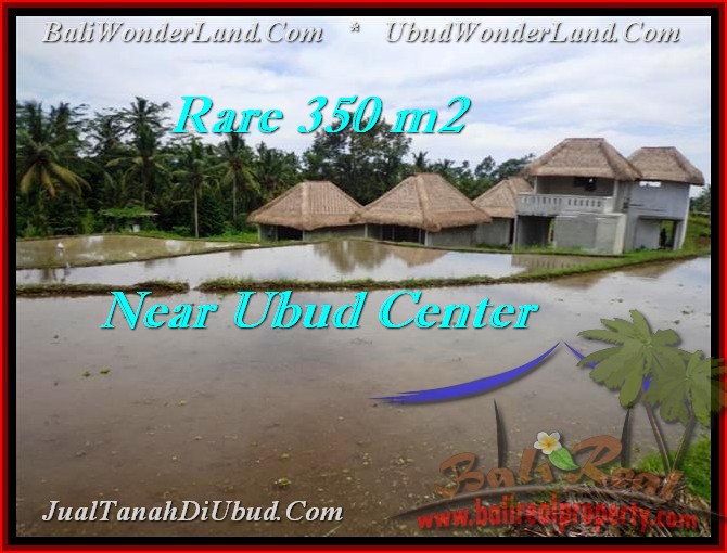 TANAH MURAH di UBUD 350 m2 di Ubud Tegalalang