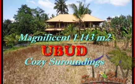 INVESTASI PROPERTI, TANAH DIJUAL di UBUD TJUB460