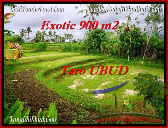 TANAH MURAH di UBUD Untuk INVESTASI TJUB464