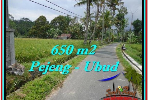 JUAL MURAH TANAH di UBUD BALI 6.5 Are View Sawah