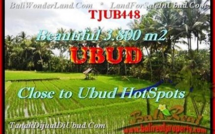 JUAL MURAH TANAH di UBUD BALI 3.800 m2 di Sentral Ubud