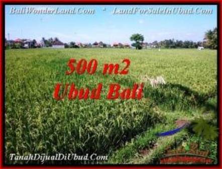 DIJUAL TANAH di UBUD 5 Are di Sentral Ubud