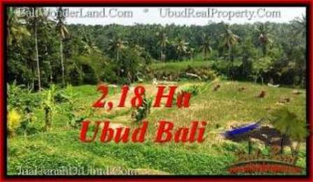 TANAH MURAH di UBUD BALI DIJUAL 218 Are View Sawah dan sungai ayung, link. villa