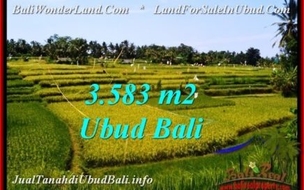 JUAL TANAH MURAH di UBUD 3,583 m2 di Ubud Pejeng