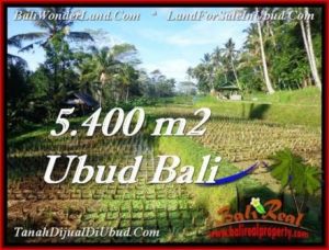 TANAH DIJUAL MURAH di UBUD 5,400 m2 di Ubud Payangan