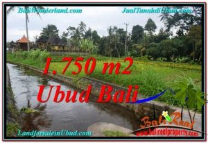 JUAL TANAH MURAH di UBUD BALI 715 m2 di Ubud Tampak Siring
