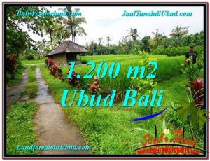 INVESTASI PROPERTY, TANAH di UBUD BALI DIJUAL MURAH TJUB559