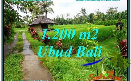 INVESTASI PROPERTY, TANAH di UBUD BALI DIJUAL MURAH TJUB559