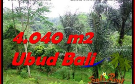 DIJUAL TANAH di UBUD 4,040 m2 di Ubud Tegalalang