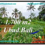 JUAL TANAH MURAH di UBUD 1,700 m2 di Ubud Payangan