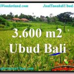 JUAL MURAH TANAH di UBUD 3,600 m2 di Sentral Ubud