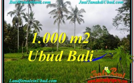 TANAH di UBUD BALI DIJUAL TJUB570
