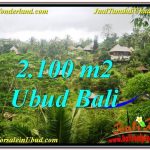 TANAH MURAH di UBUD BALI 2,100 m2 View Tebing dan Sungai