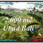 TANAH di UBUD BALI DIJUAL MURAH 2,000 m2 di Ubud Payangan