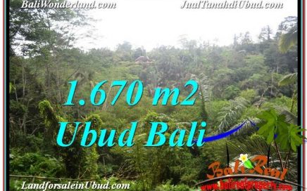 TANAH MURAH DIJUAL di UBUD BALI TJUB569