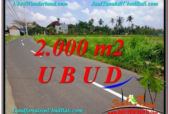 JUAL TANAH MURAH di UBUD BALI 2,000 m2 View Sawah link Villa