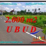 INVESTASI PROPERTY, JUAL TANAH MURAH di UBUD BALI TJUB580