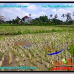 INVESTASI PROPERTY, JUAL TANAH MURAH di UBUD BALI TJUB580