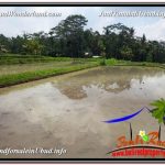 TANAH DIJUAL MURAH di UBUD Untuk INVESTASI TJUB582