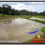 TANAH DIJUAL MURAH di UBUD Untuk INVESTASI TJUB582