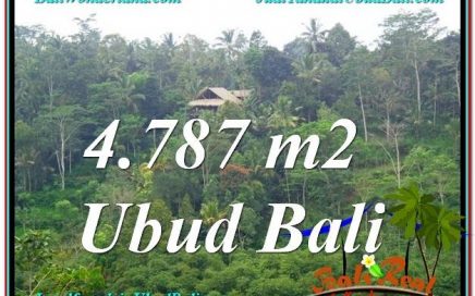 JUAL TANAH MURAH di UBUD 48 Are di Ubud Tampak Siring
