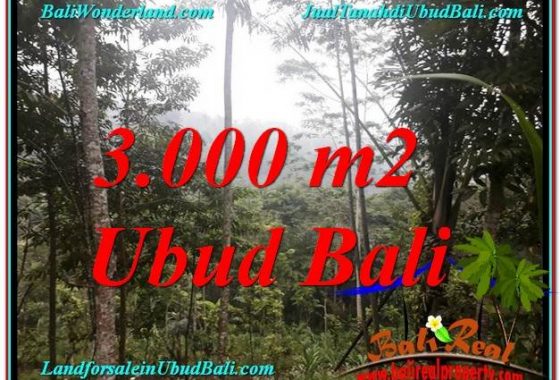 JUAL MURAH TANAH di UBUD BALI 3,000 m2 View Tebing