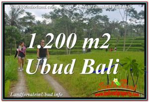 JUAL MURAH TANAH di UBUD Untuk INVESTASI TJUB624
