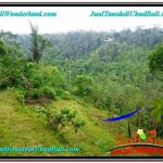 INVESTASI PROPERTY, TANAH di UBUD DIJUAL MURAH TJUB603