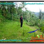 INVESTASI PROPERTY, TANAH di UBUD DIJUAL MURAH TJUB603